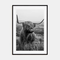 Scottish Highlander Photo B&W No 1 Poster