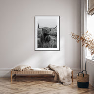 Scottish Highlander Photo B&W No 1 Poster
