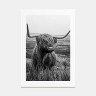 Scottish Highlander Photo B&W No 1 Poster
