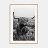 Scottish Highlander Photo B&W No 1 Poster