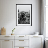 Scottish Highlander Photo B&W No 1 Poster