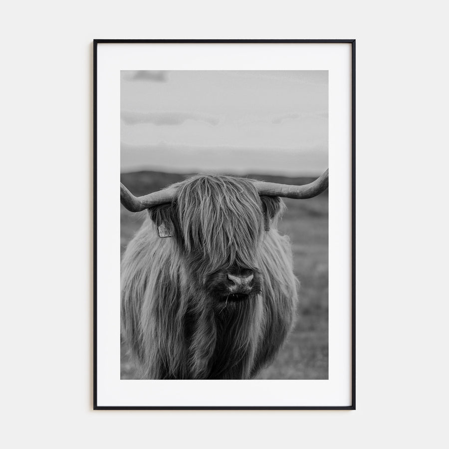 Scottish Highlander Photo B&W No 2 Poster