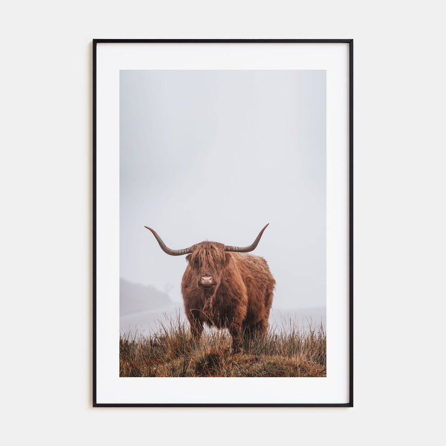 Scottish Highlander Photo Color No 1 Poster
