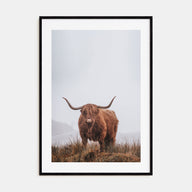 Scottish Highlander Photo Color No 1 Poster