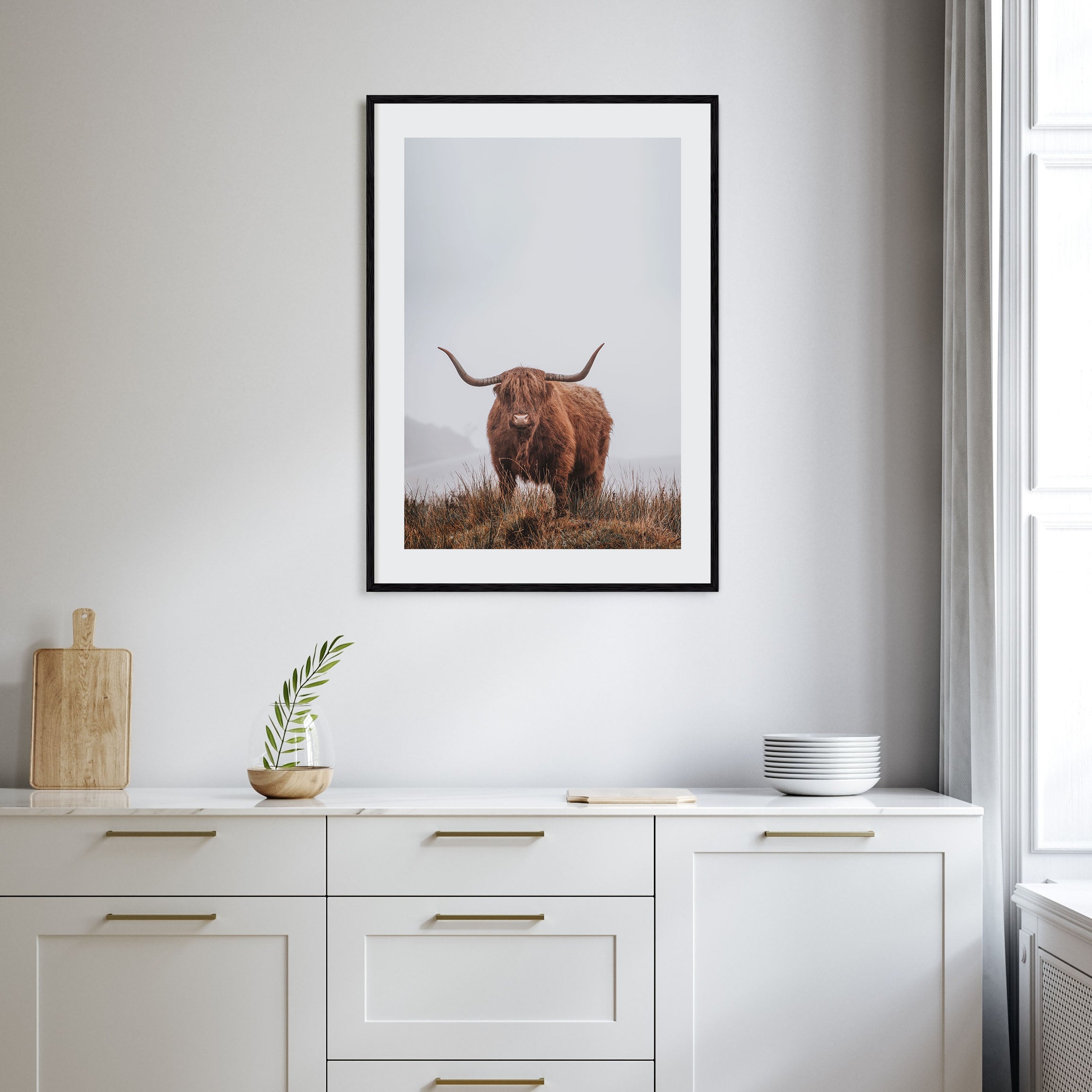 Scottish Highlander Photo Color No 1 Poster