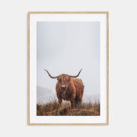 Scottish Highlander Photo Color No 1 Poster
