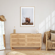 Scottish Highlander Photo Color No 1 Poster