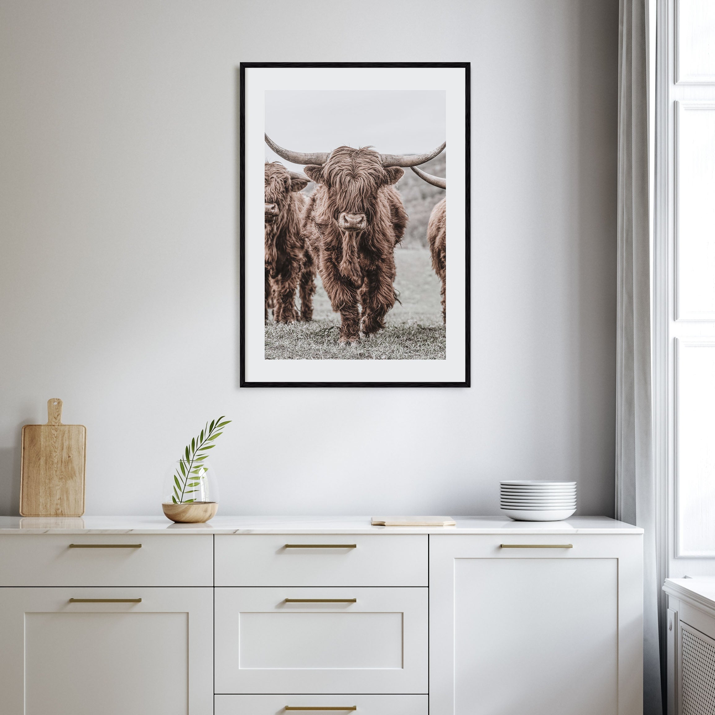 Scottish Highlander Photo Color No 2 Poster