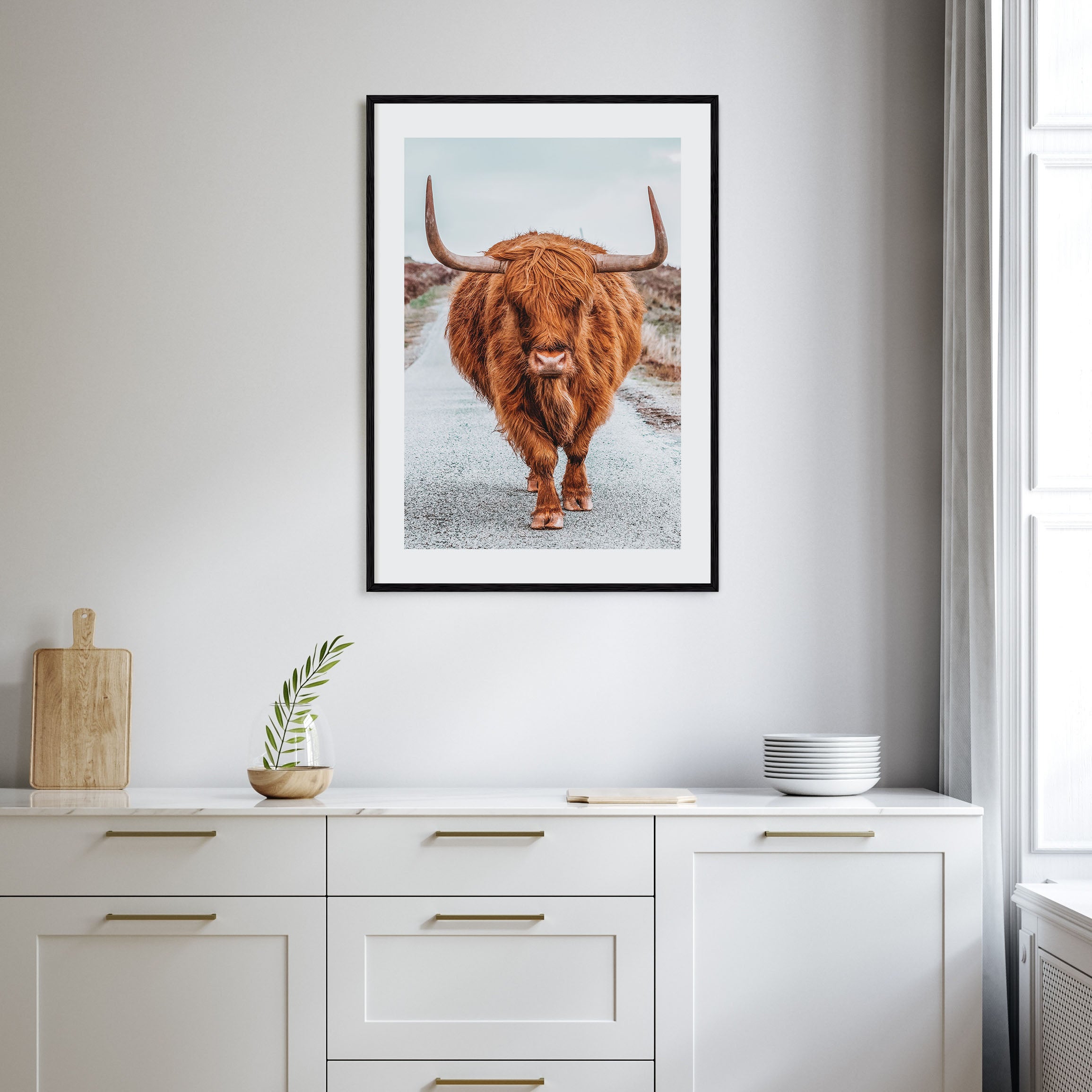 Scottish Highlander Photo Color No 3 Poster