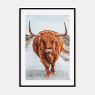 Scottish Highlander Photo Color No 3 Poster