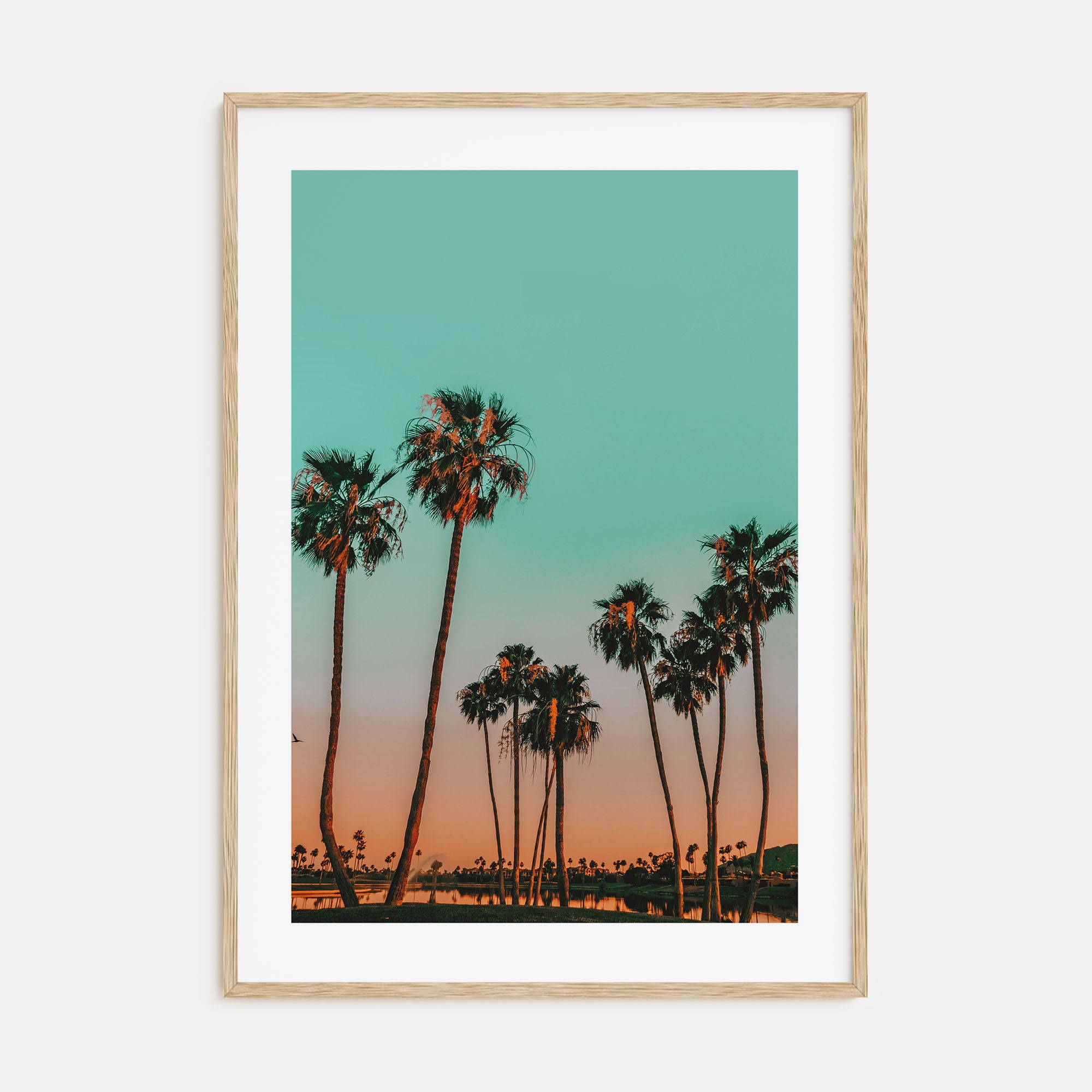 Scottsdale Photo Color No 2 Poster