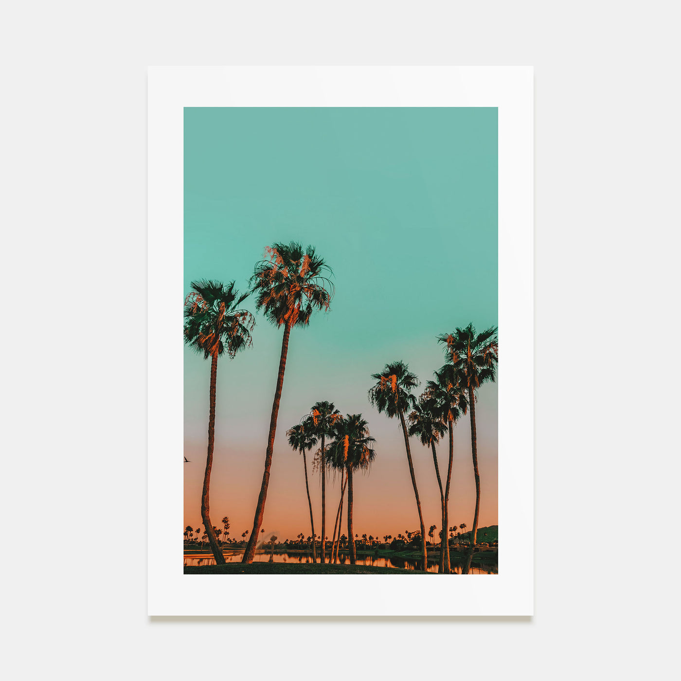 Scottsdale Photo Color No 2 Poster