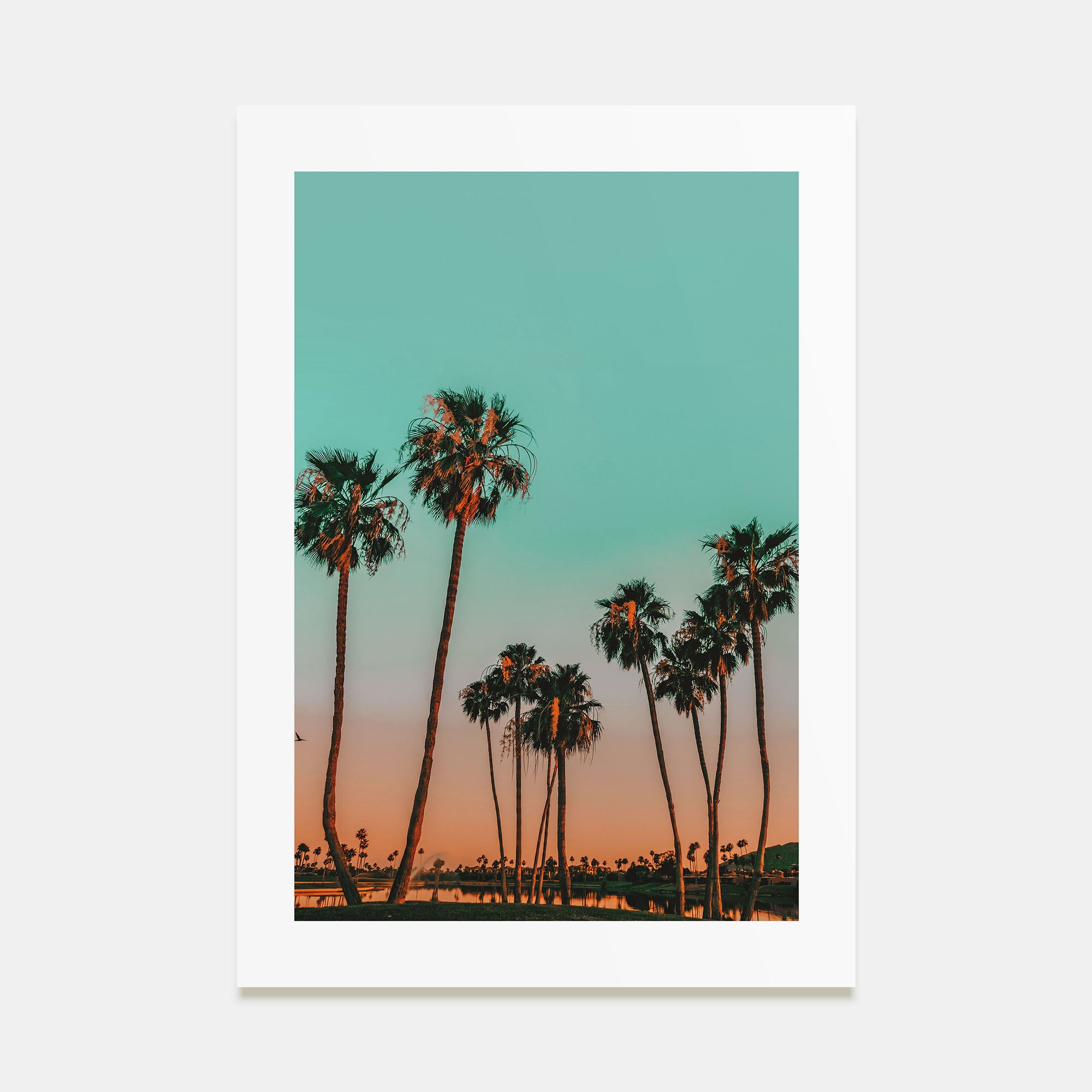 Scottsdale Photo Color No 2 Poster