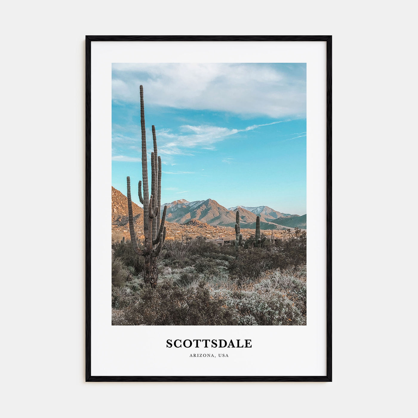 Scottsdale Portrait Color Poster