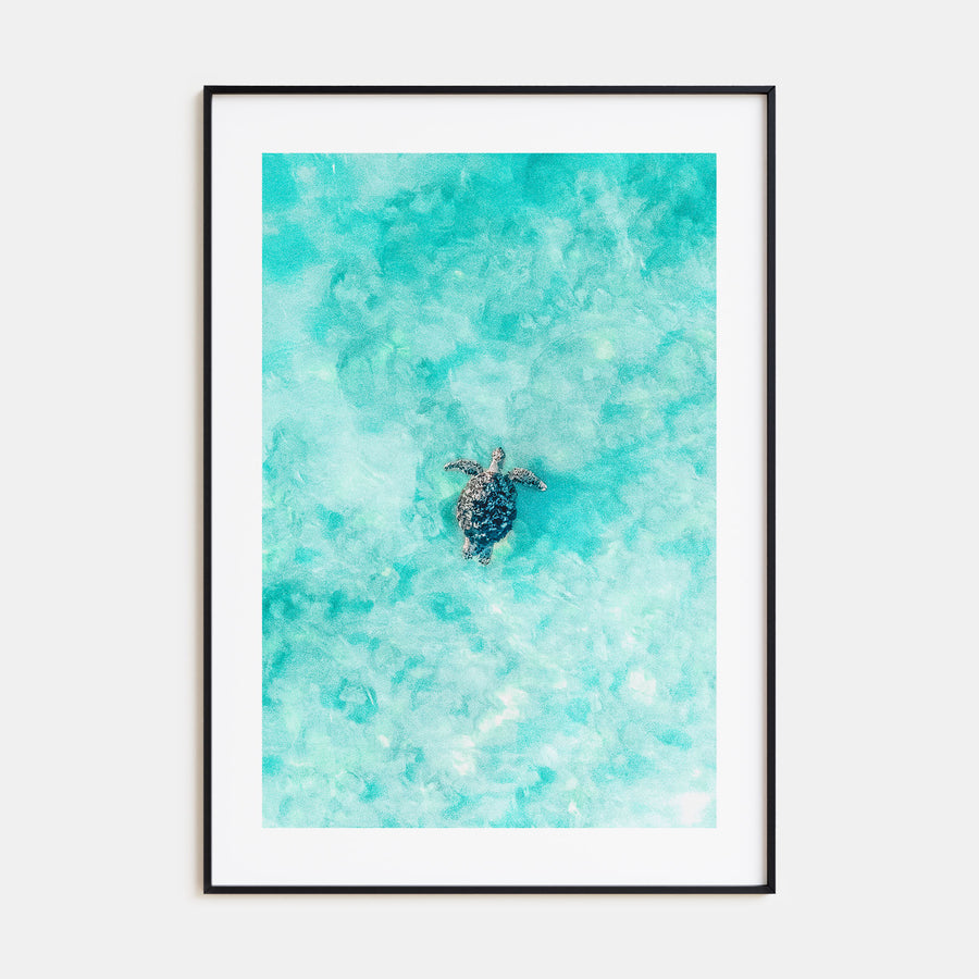 Sea Turtle Photo Color No 1 Poster