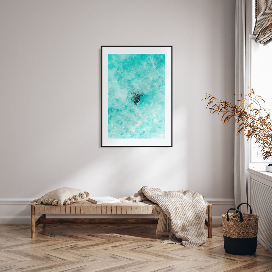 Sea Turtle Photo Color No 1 Poster