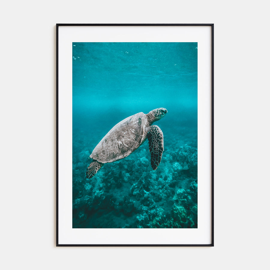 Sea Turtle Photo Color No 2 Poster