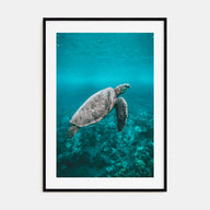 Sea Turtle Photo Color No 2 Poster