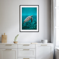 Sea Turtle Photo Color No 2 Poster