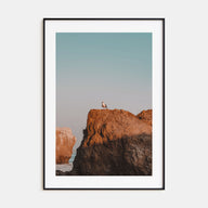 Seagull on a Beach Rock Photo Color Poster