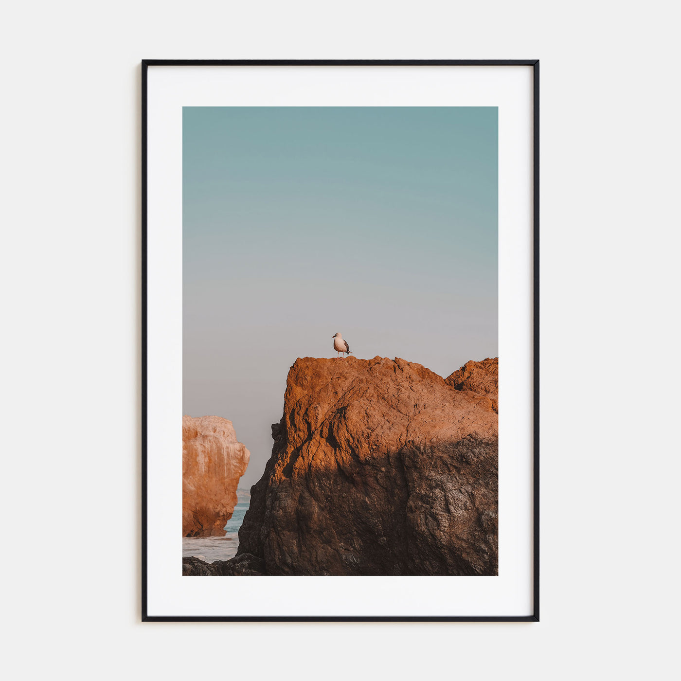 Seagull on a Beach Rock Photo Color Poster