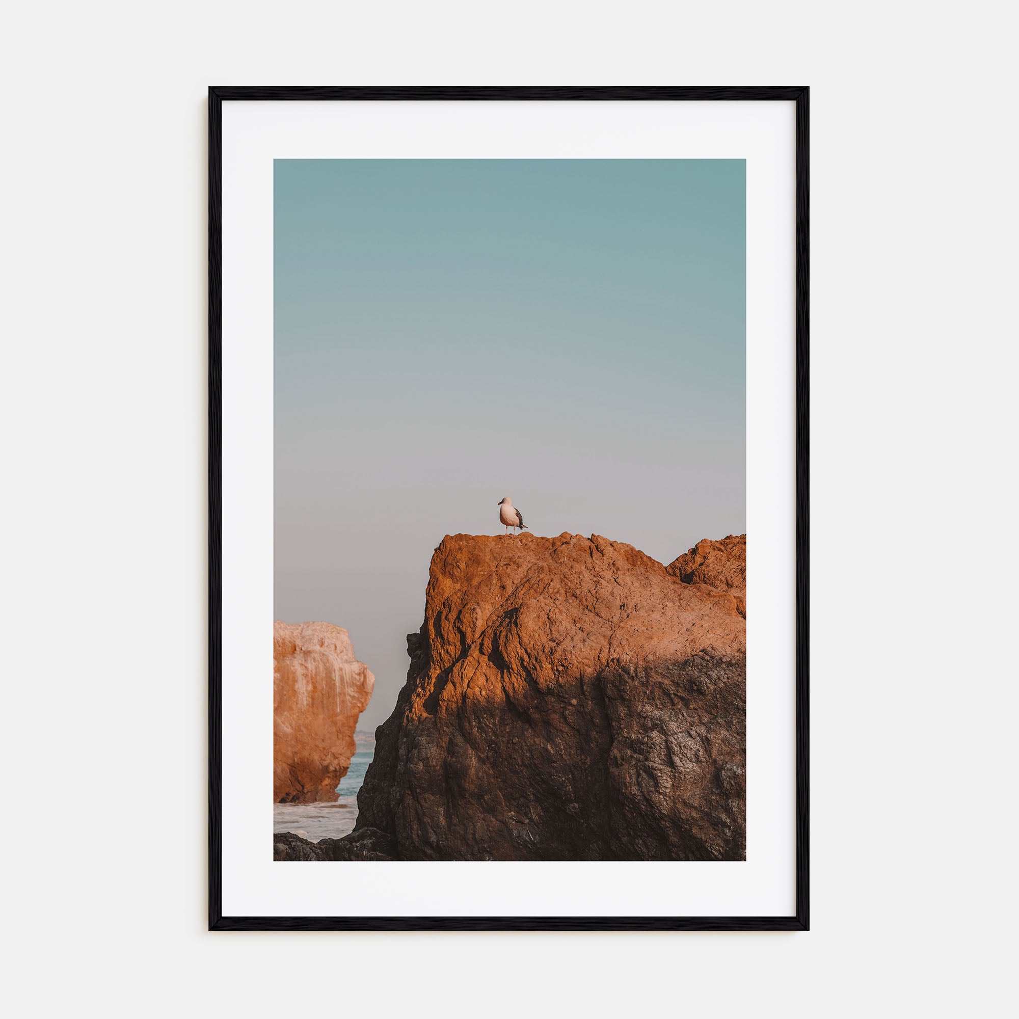 Seagull on a Beach Rock Photo Color Poster