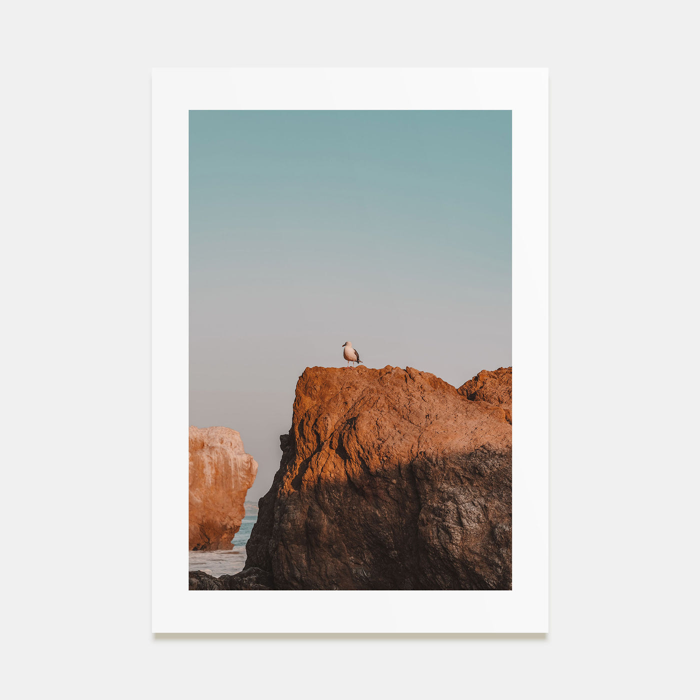 Seagull on a Beach Rock Photo Color Poster
