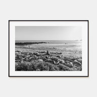 Seal Beach Landscape B&W Poster