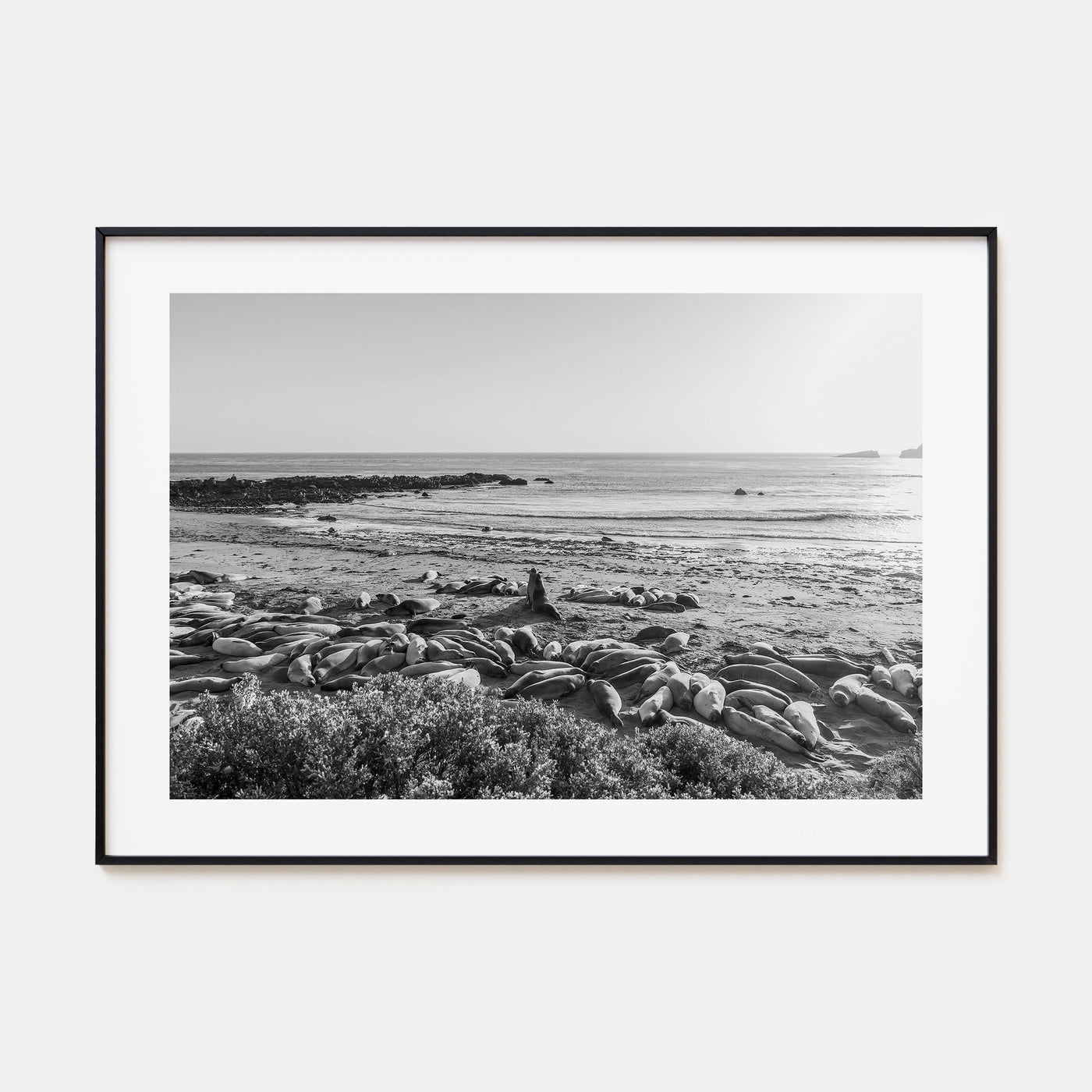 Seal Beach Landscape B&W Poster