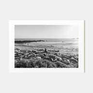 Seal Beach Landscape B&W Poster