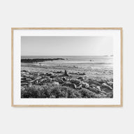 Seal Beach Landscape B&W Poster