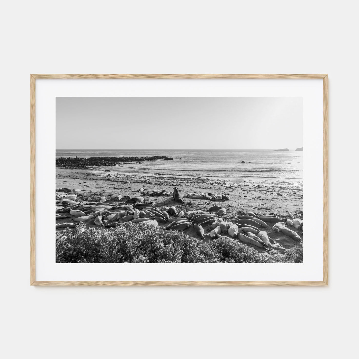 Seal Beach Landscape B&W Poster