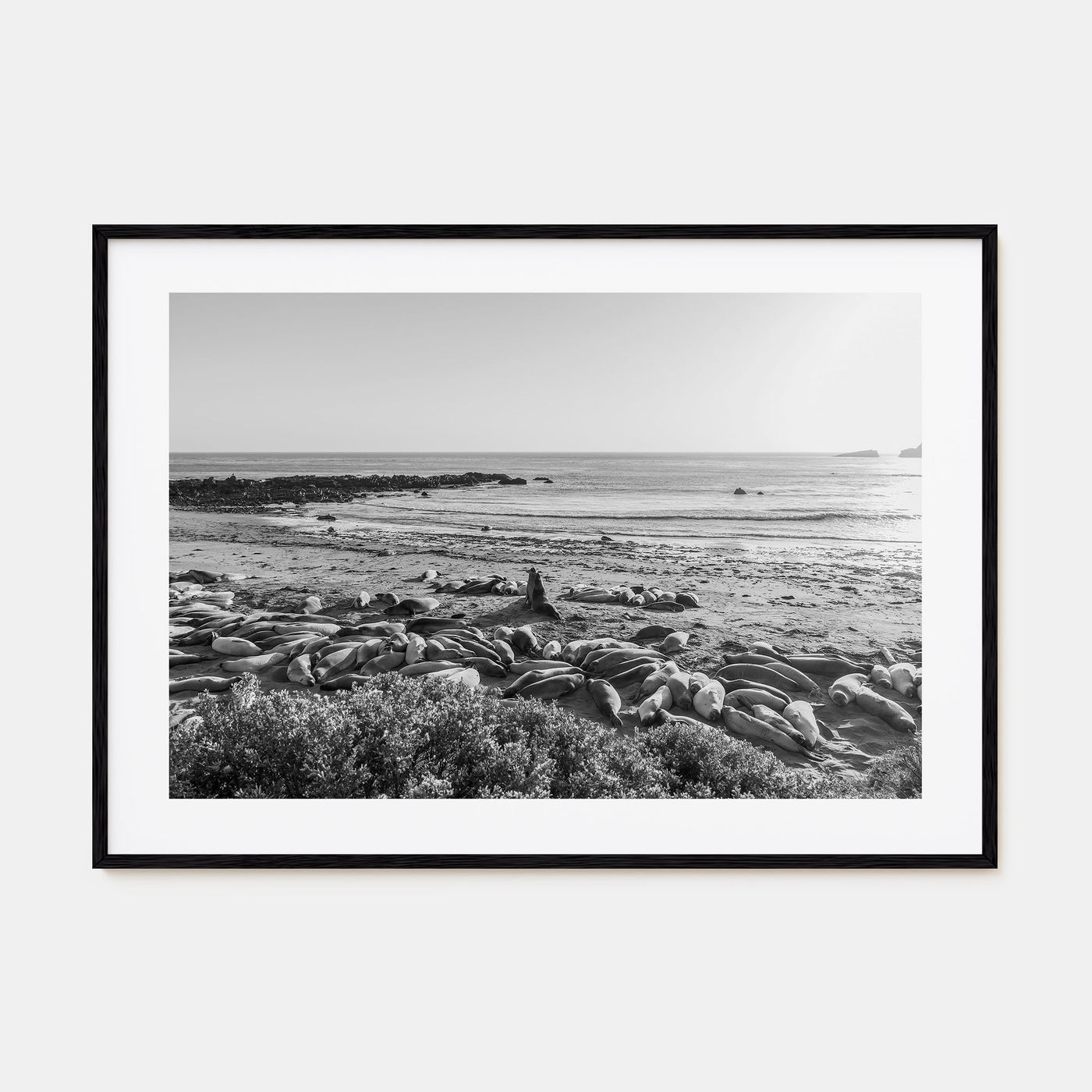 Seal Beach Landscape B&W Poster