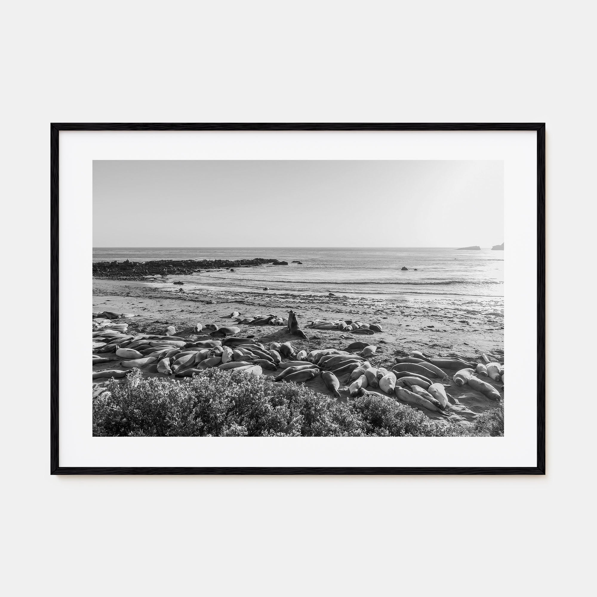 Seal Beach Landscape B&W Poster