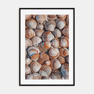 Seashells Photo Color Poster