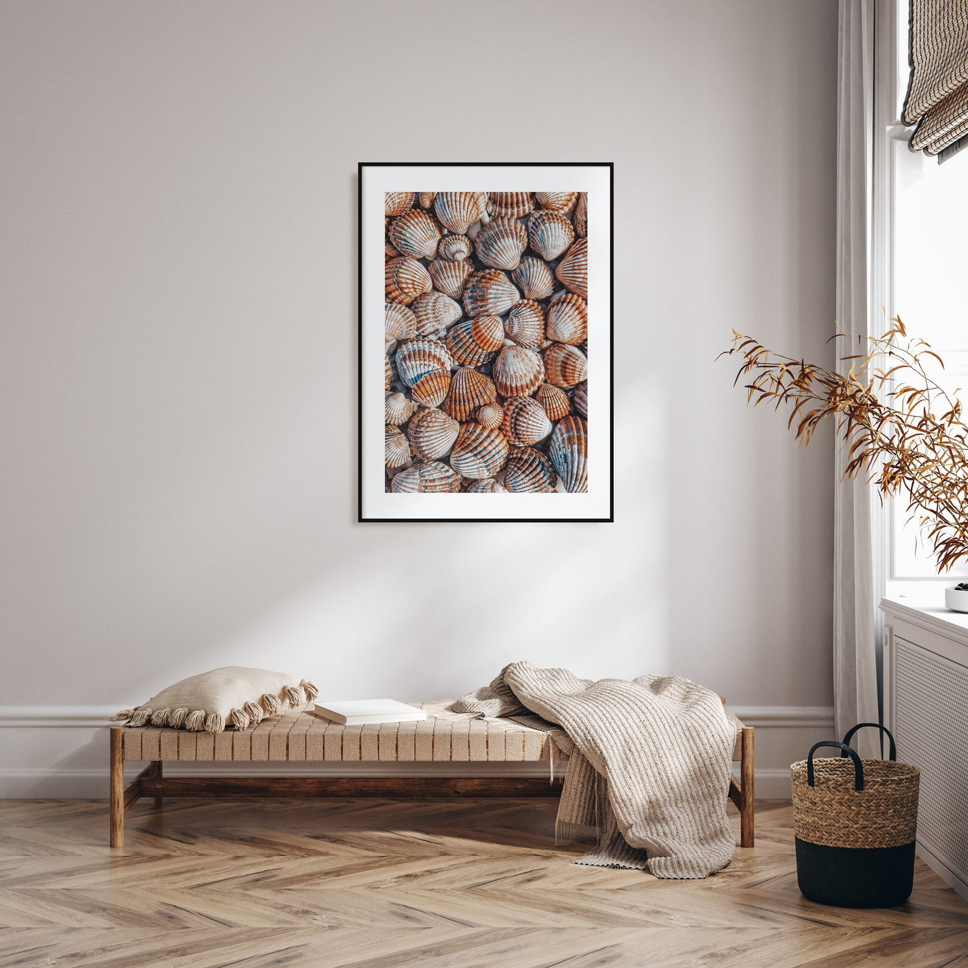 Seashells Photo Color Poster