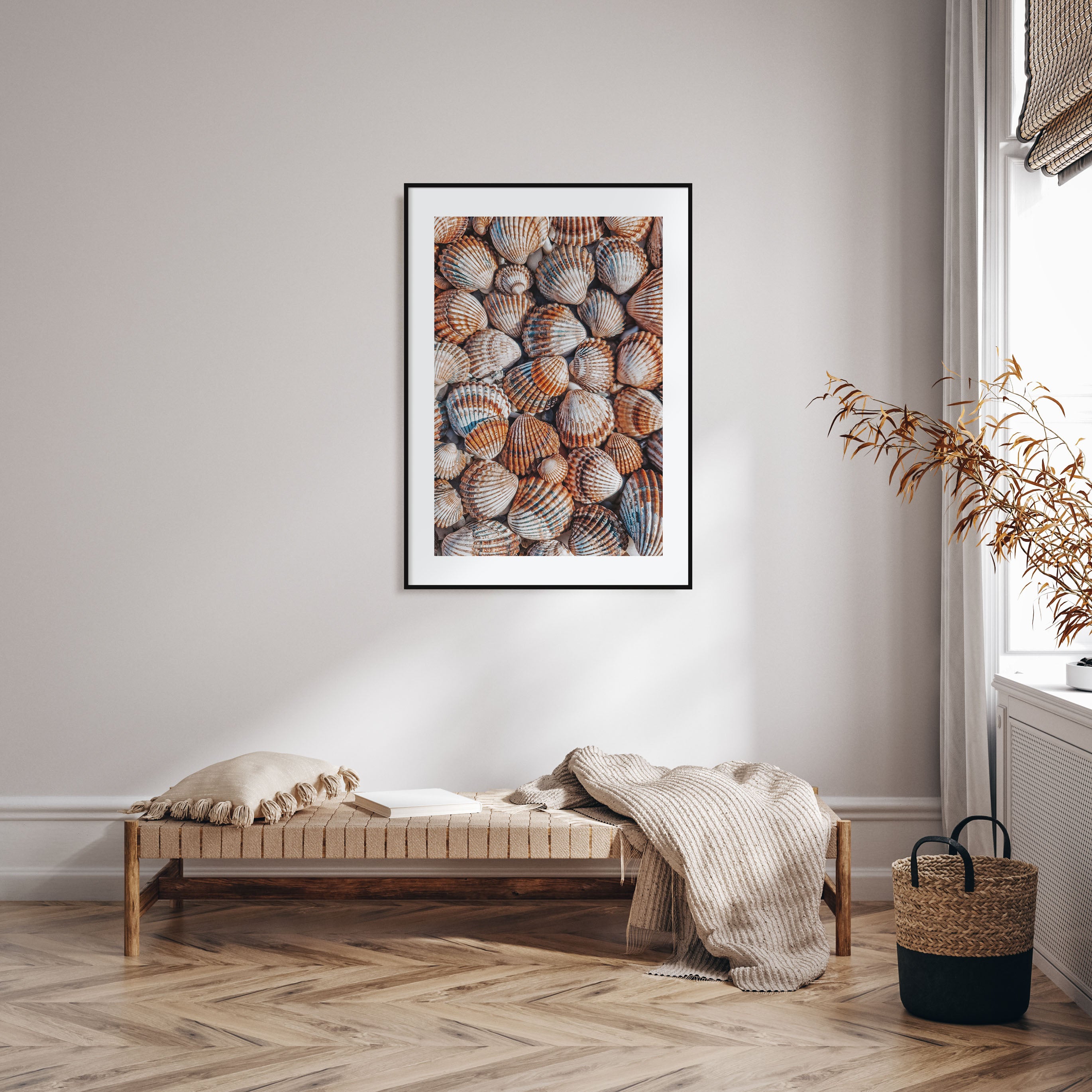 Seashells Photo Color Poster