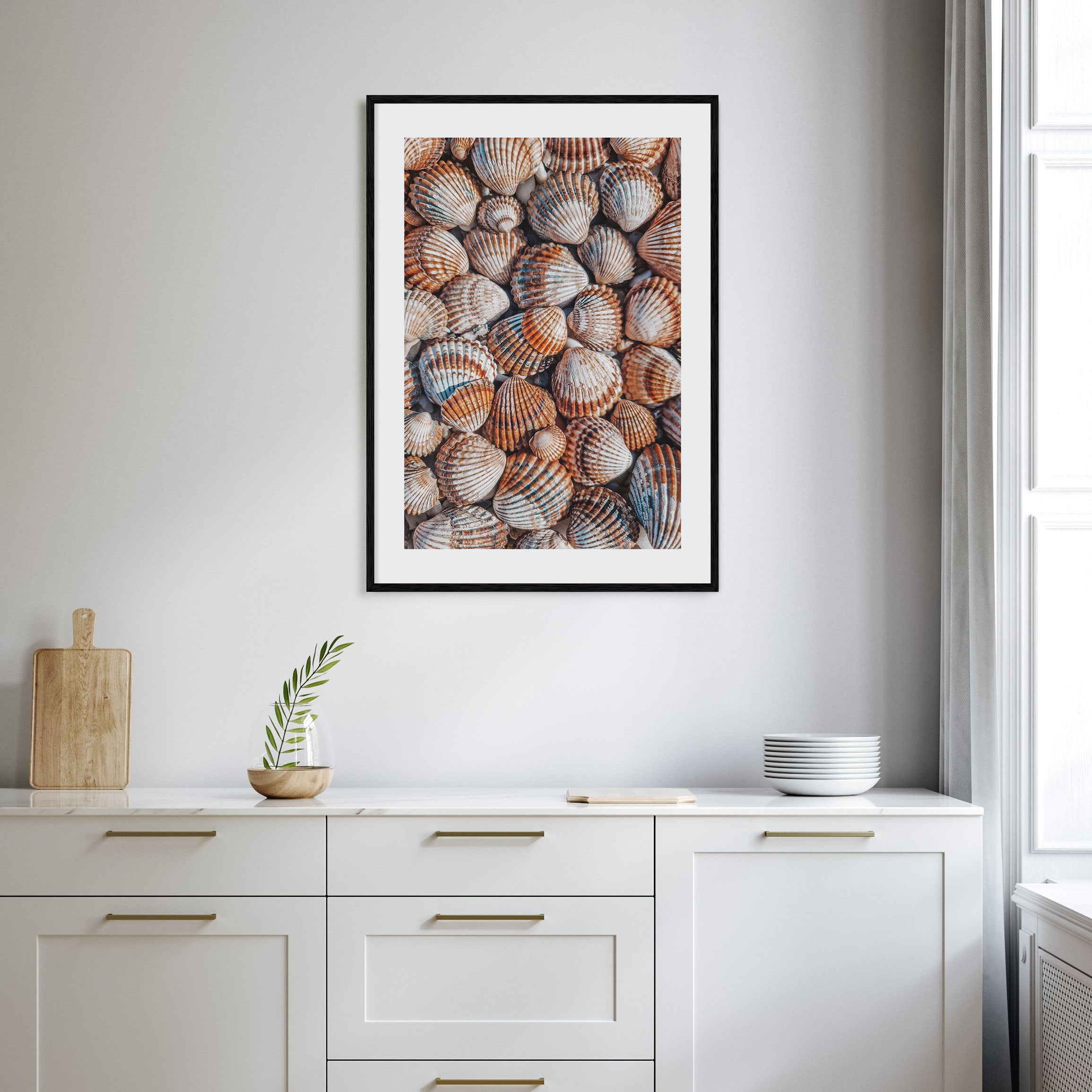 Seashells Photo Color Poster