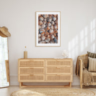 Seashells Photo Color Poster