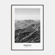 Sequoia National Park Portrait B&W Poster