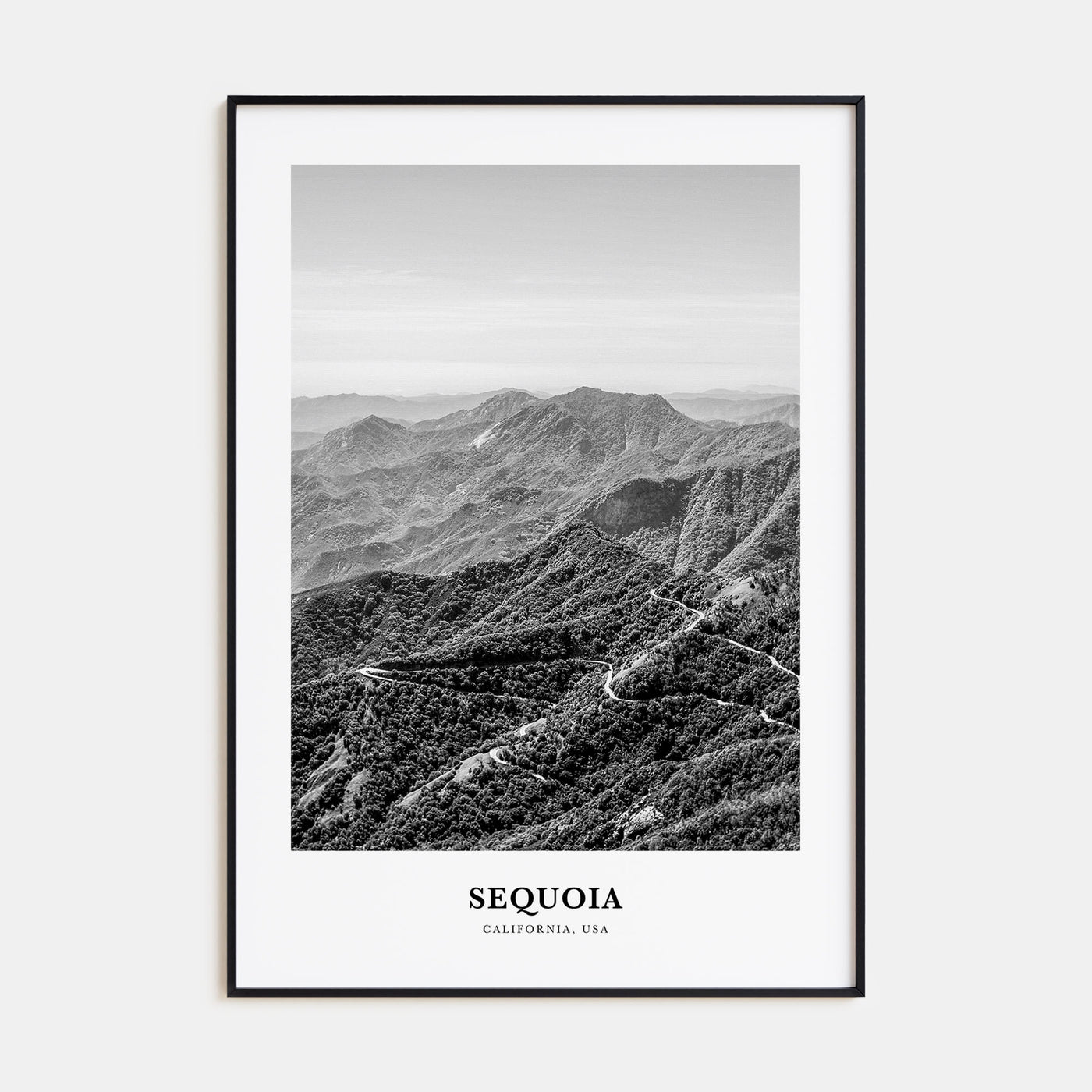 Sequoia National Park Portrait B&W Poster