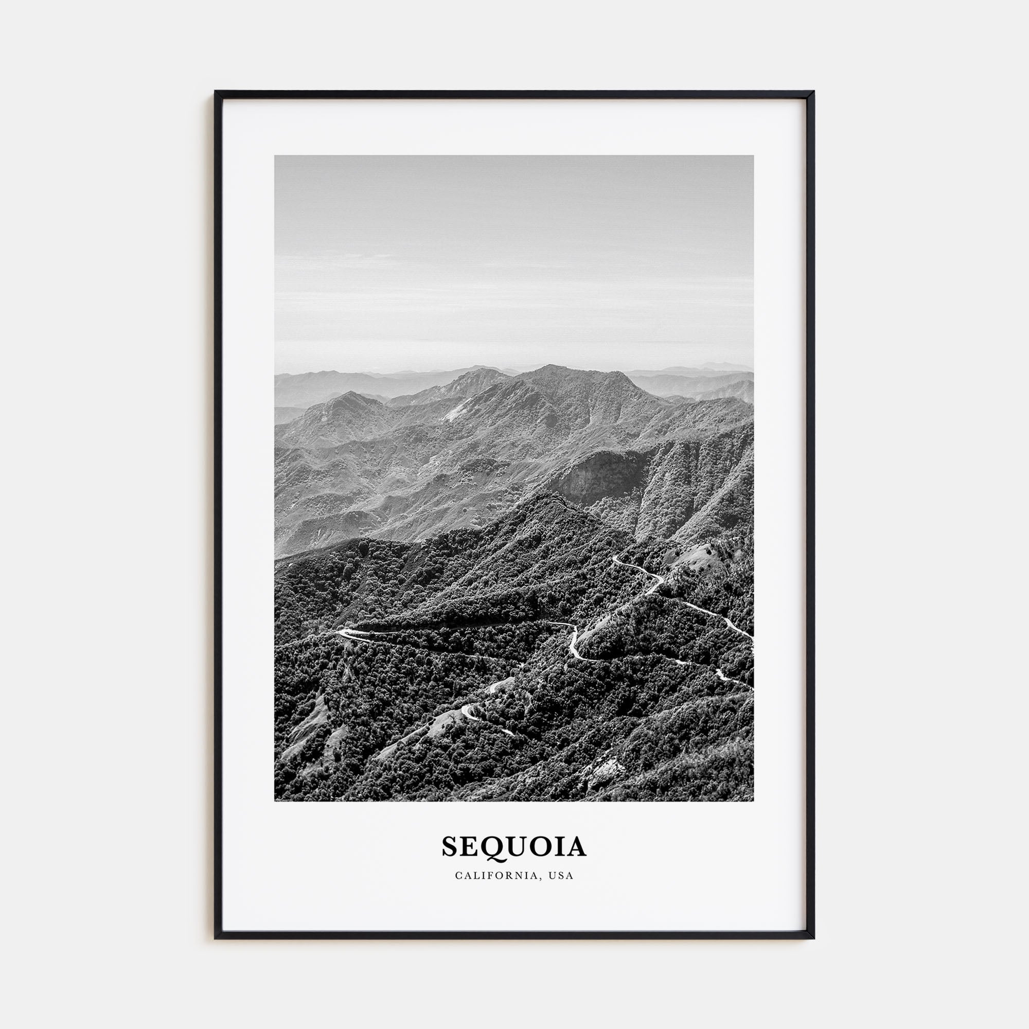 Sequoia National Park Portrait B&W Poster