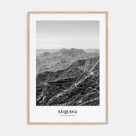 Sequoia National Park Portrait B&W Poster