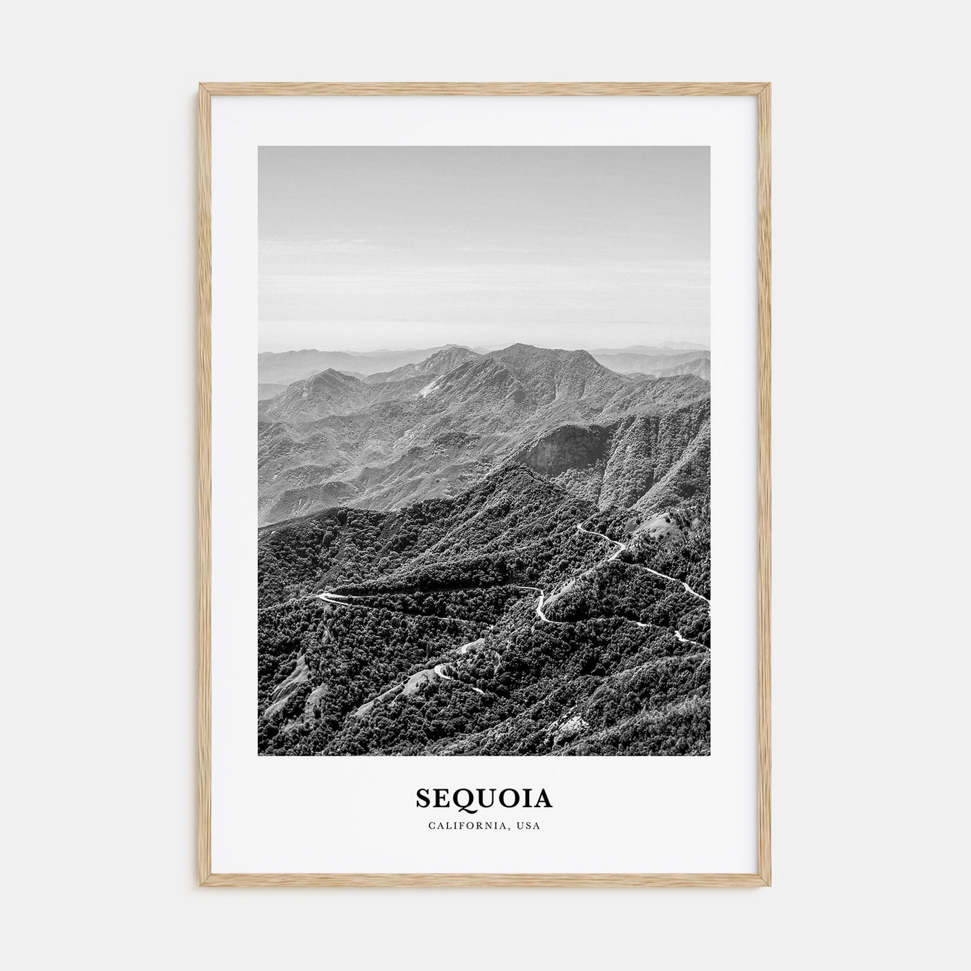 Sequoia National Park Portrait B&W Poster