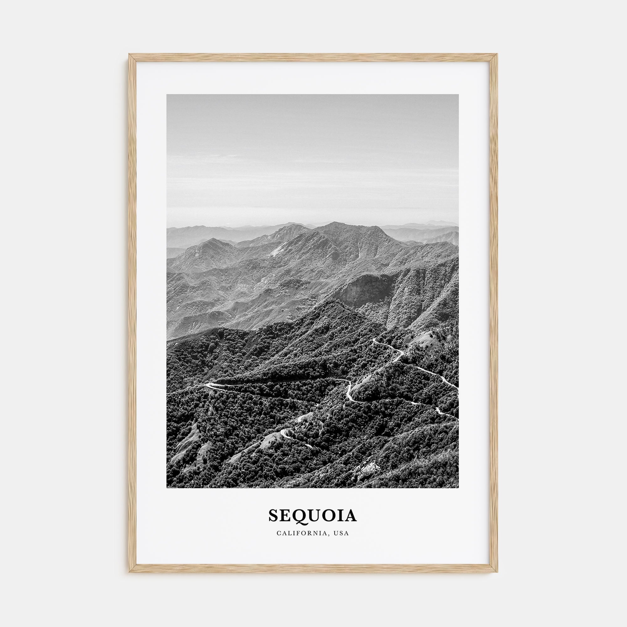 Sequoia National Park Portrait B&W Poster