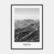 Sequoia National Park Portrait B&W Poster