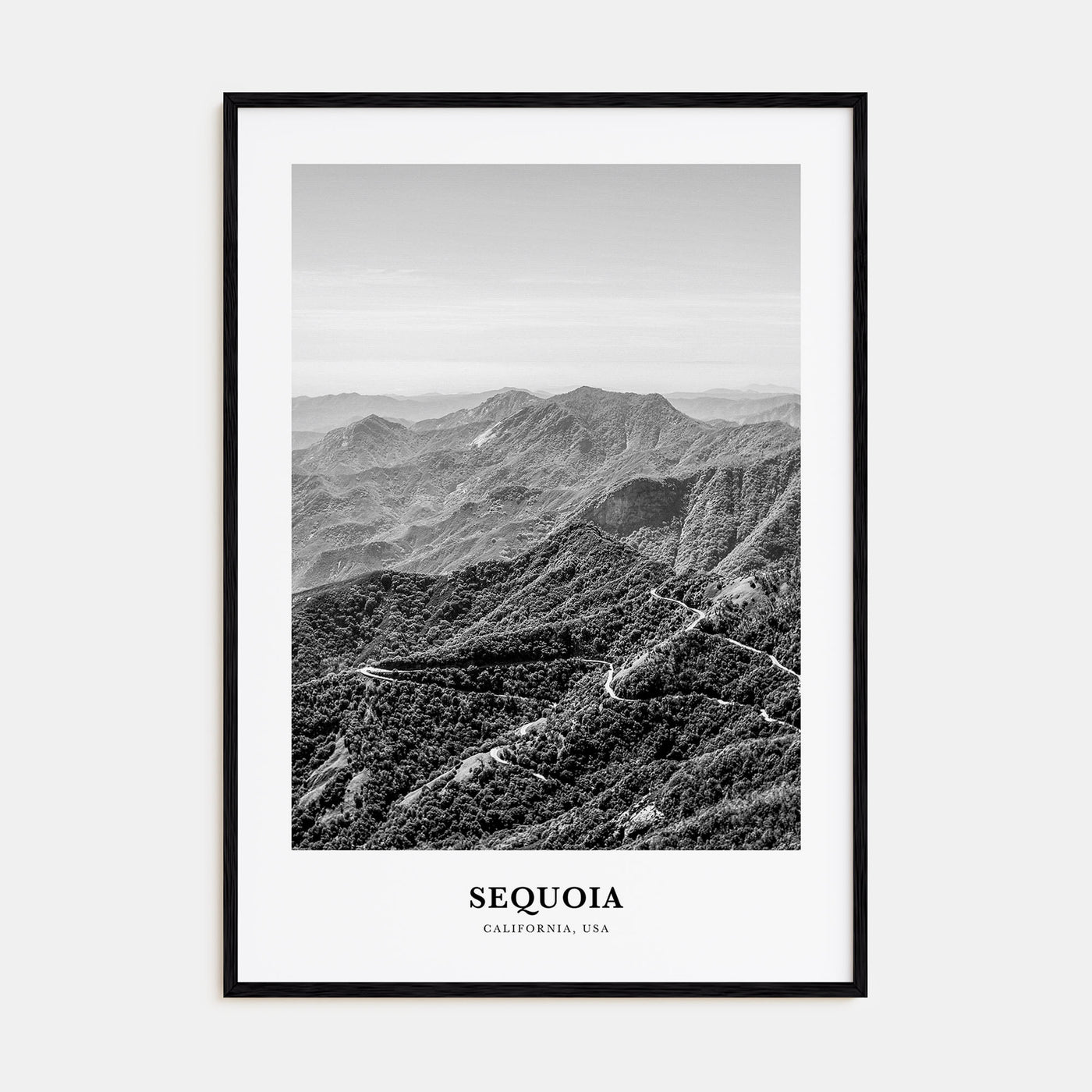 Sequoia National Park Portrait B&W Poster