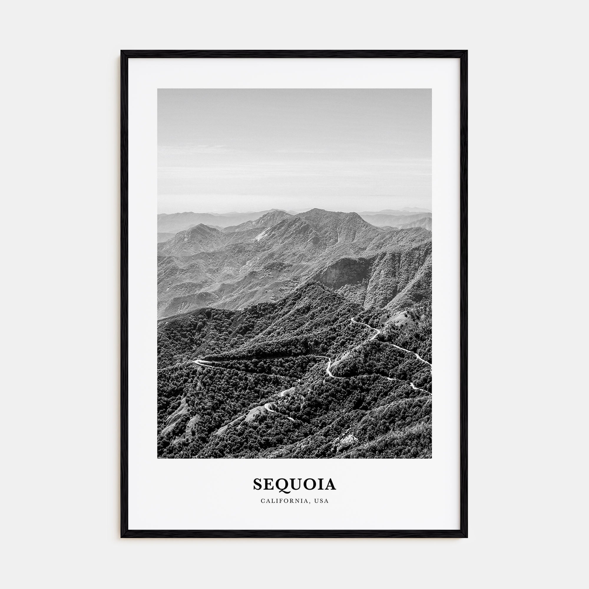 Sequoia National Park Portrait B&W Poster