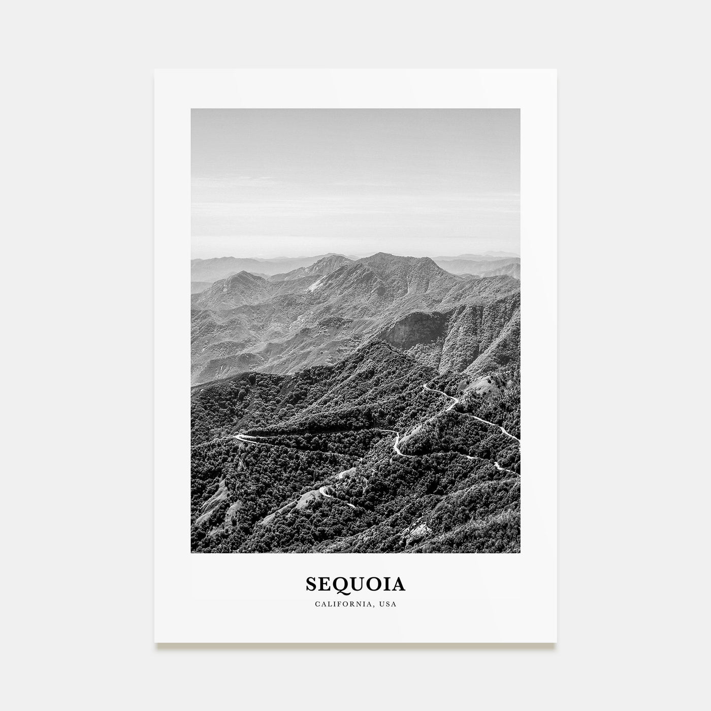 Sequoia National Park Portrait B&W Poster