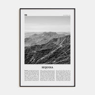 Sequoia National Park Travel B&W Poster